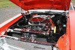 teddy bear car show 2 030.jpg